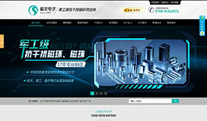 東莞市磁豐電子營銷型網(wǎng)站建設(shè)案例